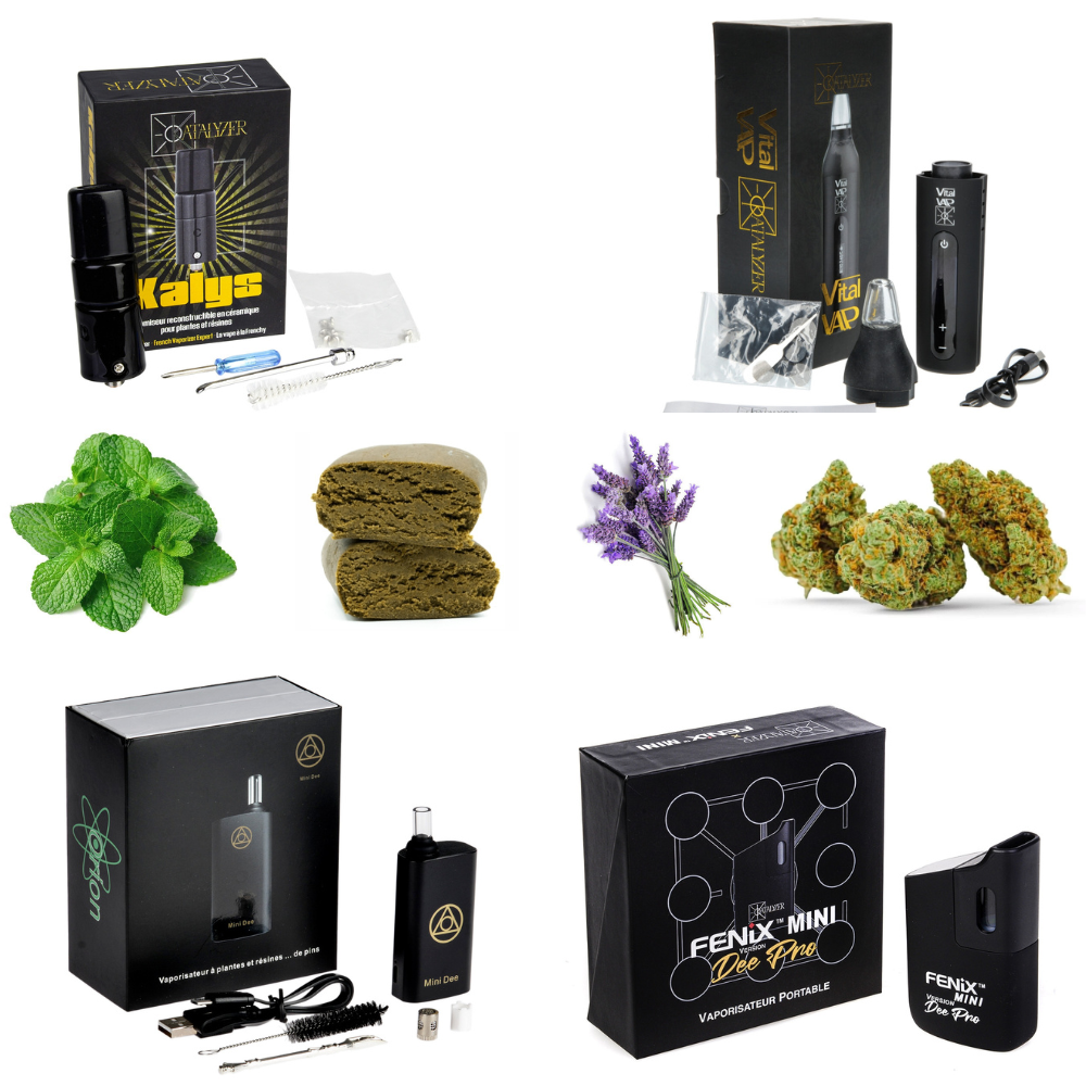 Vaporisateur Herbe GreenCity Roanne - CBD Shop et Growshop Vaporisateur Herbe GreenCity Roanne - CBD Shop et Growshop