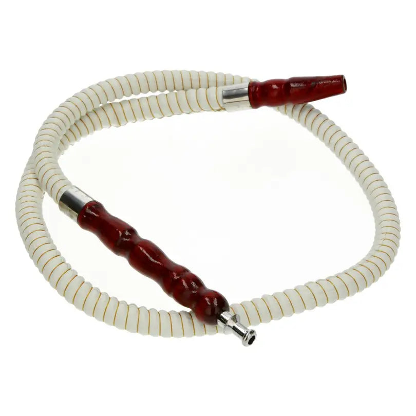Chicha Ragga