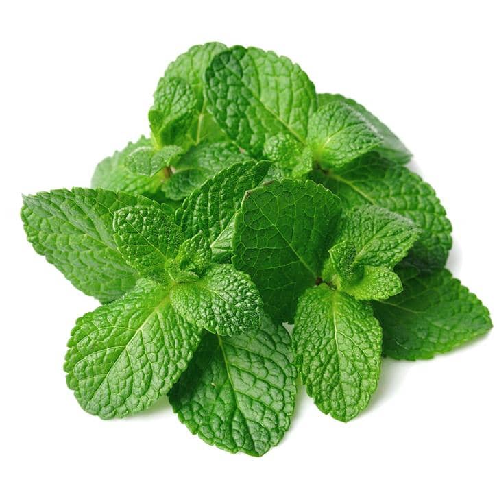 Feuille de Menthe Poivré 30g