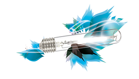Ampoule Croissance MH 250W - 400w - 600w - 1000w - FLORASTAR