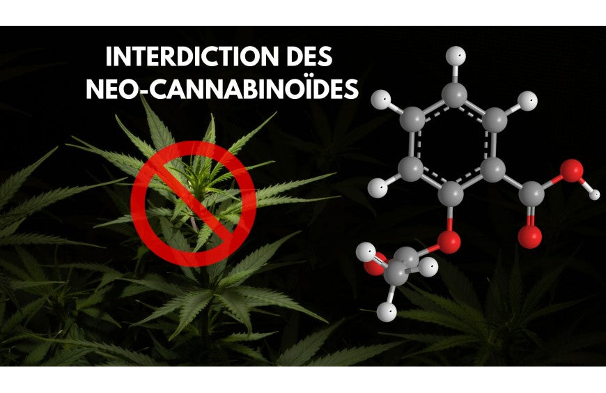 Les molécules chimique de synthèse vont être interdits à partir du 3 juin !
