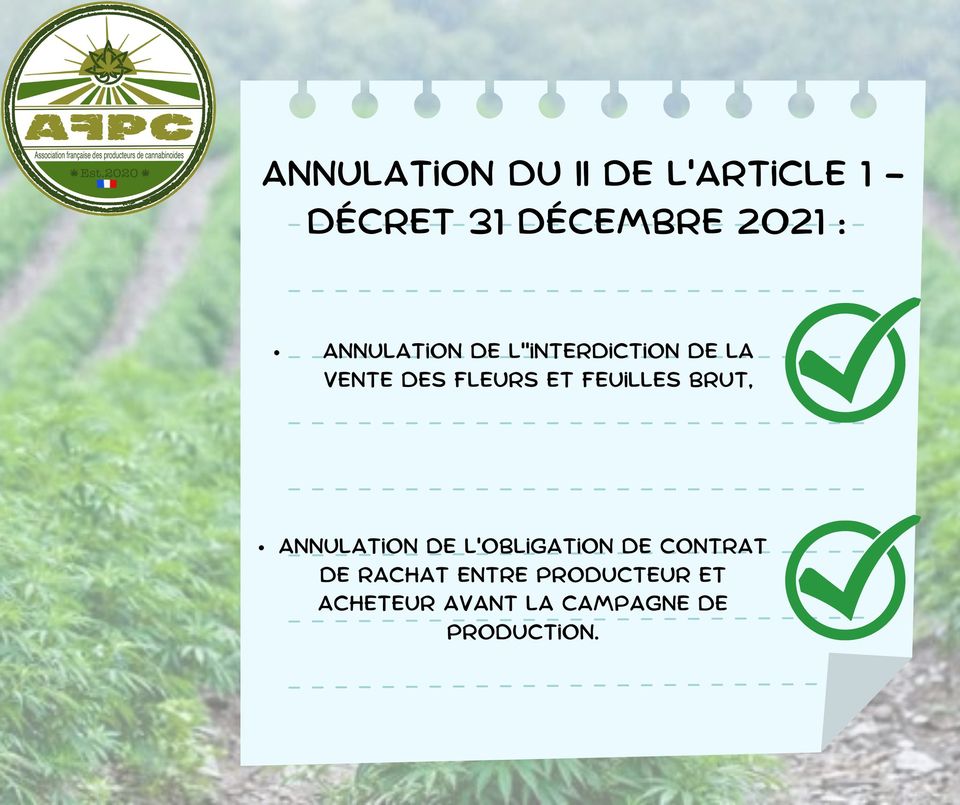 Annulation de l’arrêté interdisant la vente des fleurs et feuilles de cannabis sans propriétés stupéfiantes