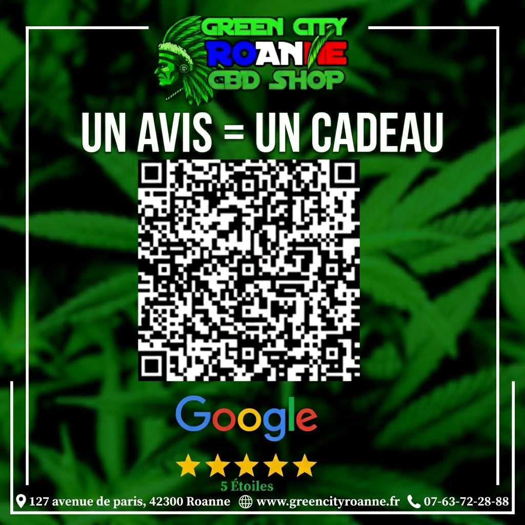 Avis Google
