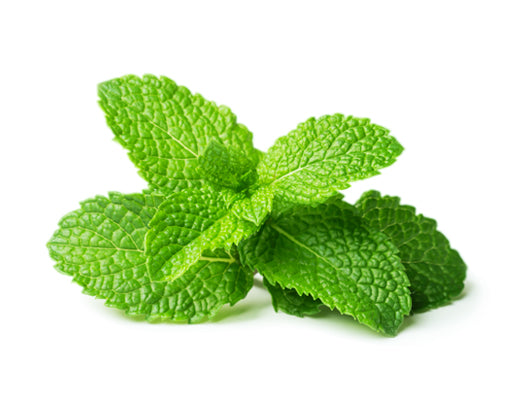 Feuilles de Menthe Douce 30g