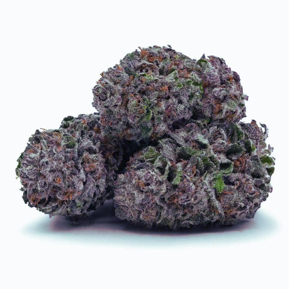 Saphir Kush 13% CBD indoor