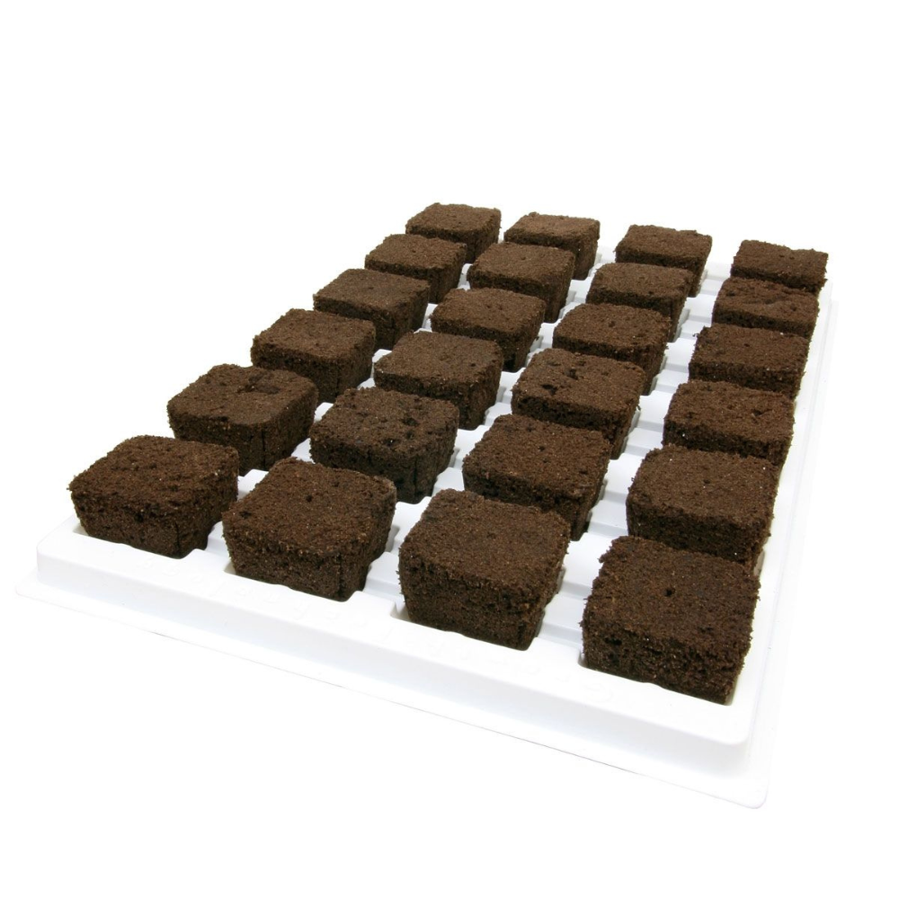 ROOT RIOT plateau de 24 bouchons de bouturage - Growth Technology