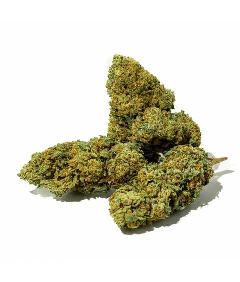 ARLEQUIN 12% CBD outdoor