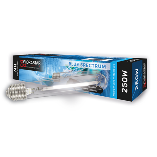 Ampoule Croissance MH 250W - 400w - 600w - 1000w  - FLORASTAR
