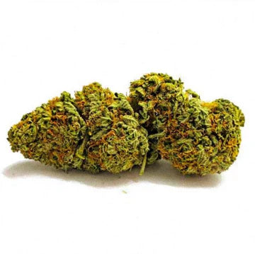 TROPICAL KUSH 15% indoor