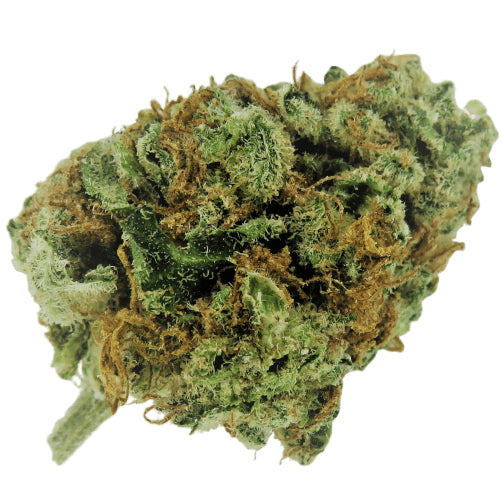 STRAWBERY 12% CBD Indoor  2025