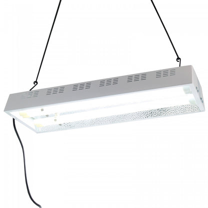 Turbo Néon STARLITE 2 x 55W + tubes 6500K - FLORASTAR