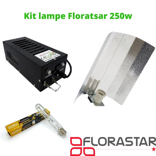 Kit lampe 250W ( Ampoule, Ballast et Reflecteur)