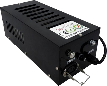 Kit lampe hps 600W ( Ampoule, Ballast et Reflecteur)