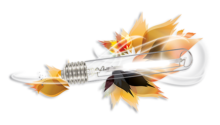 Ampoule AGRO (double spectre) 250w - 400w - 600w  - 1000w