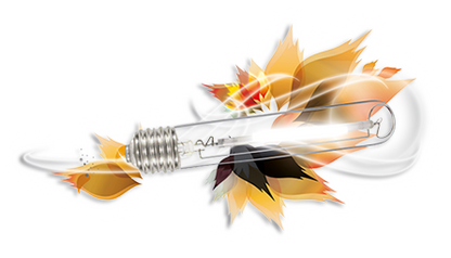 Ampoule AGRO (double spectre) 250w - 400w - 600w  - 1000w