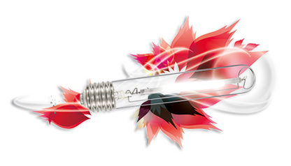 Ampoule Floraison HRO+ 250w - 400w - 600w - 1000w