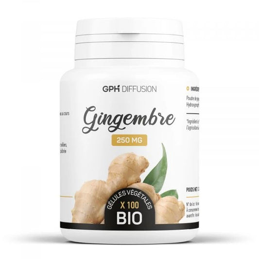 Plante BIO de GINGEMBRE en gélules