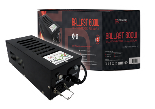 Ballast 600W BLACK Box IP20 - FLORASTAR
