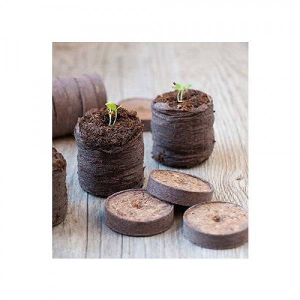 lot de 10 Pastilles de tourbe compressée