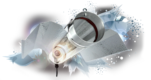 Réflecteur bat cooltube Florastar - 125mm - Cablé IEC