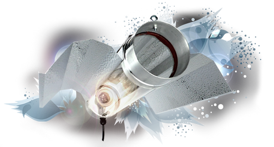 Réflecteur bat cooltube Florastar - 125mm - Cablé IEC